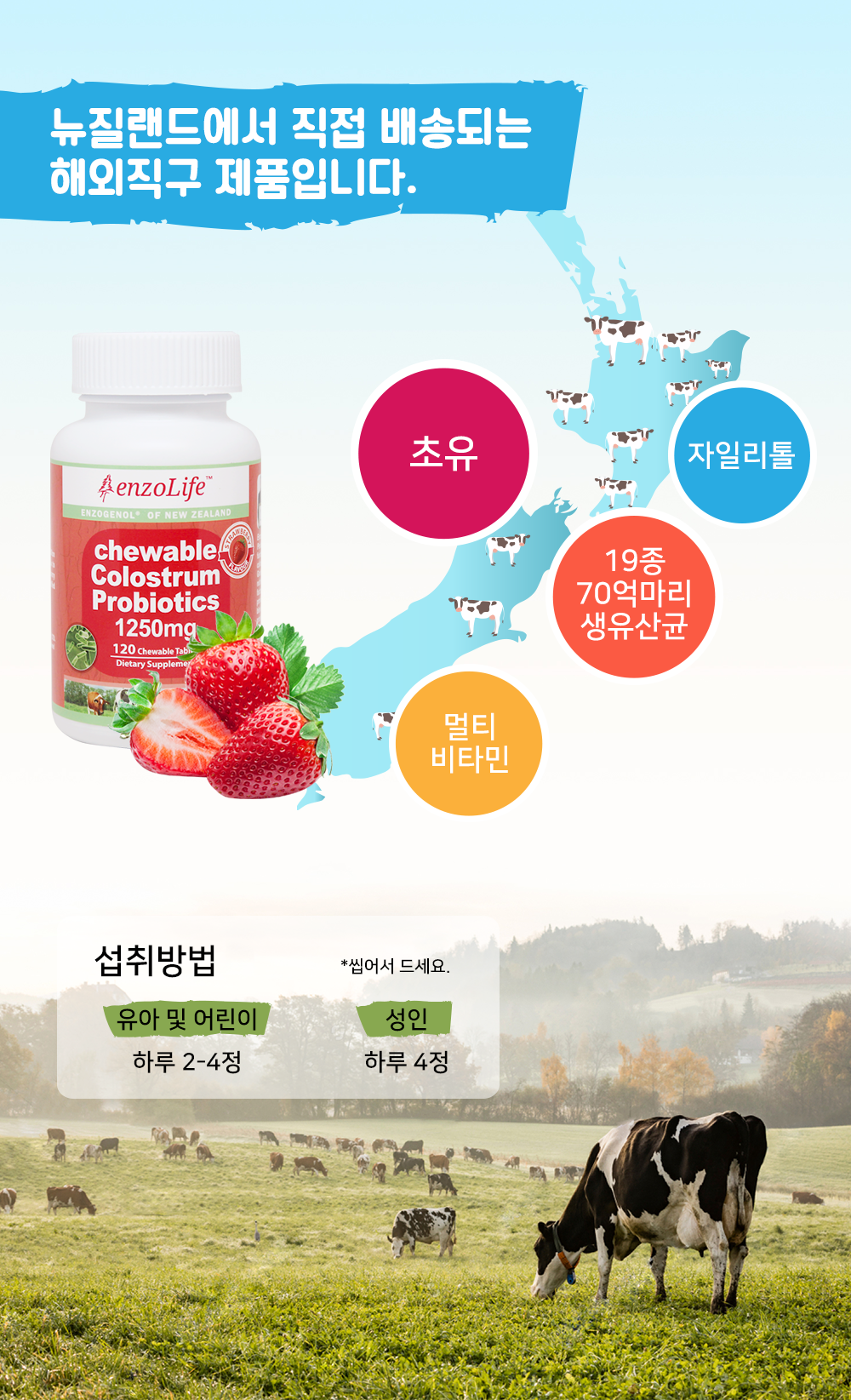 엔조라이프(Enzolife) 씹어먹는 초유 프로바이오틱스 유산균 딸기맛
