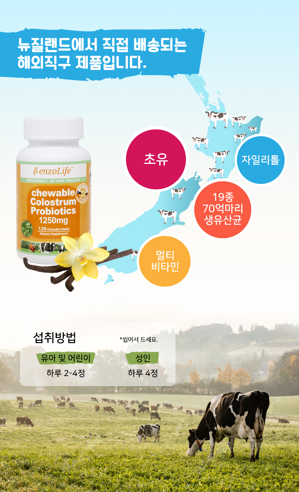 엔조라이프(Enzolife) 씹어먹는 초유 프로바이오틱스 유산균 바닐라맛